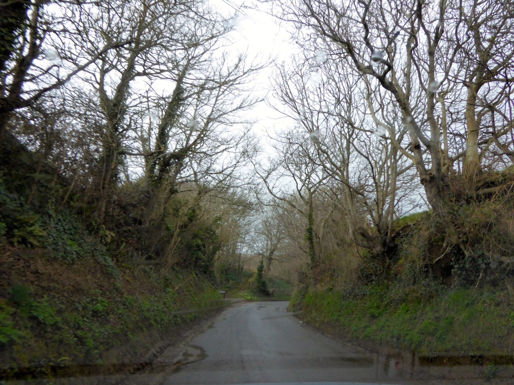 Country lane well sunk into the surrounding landscape