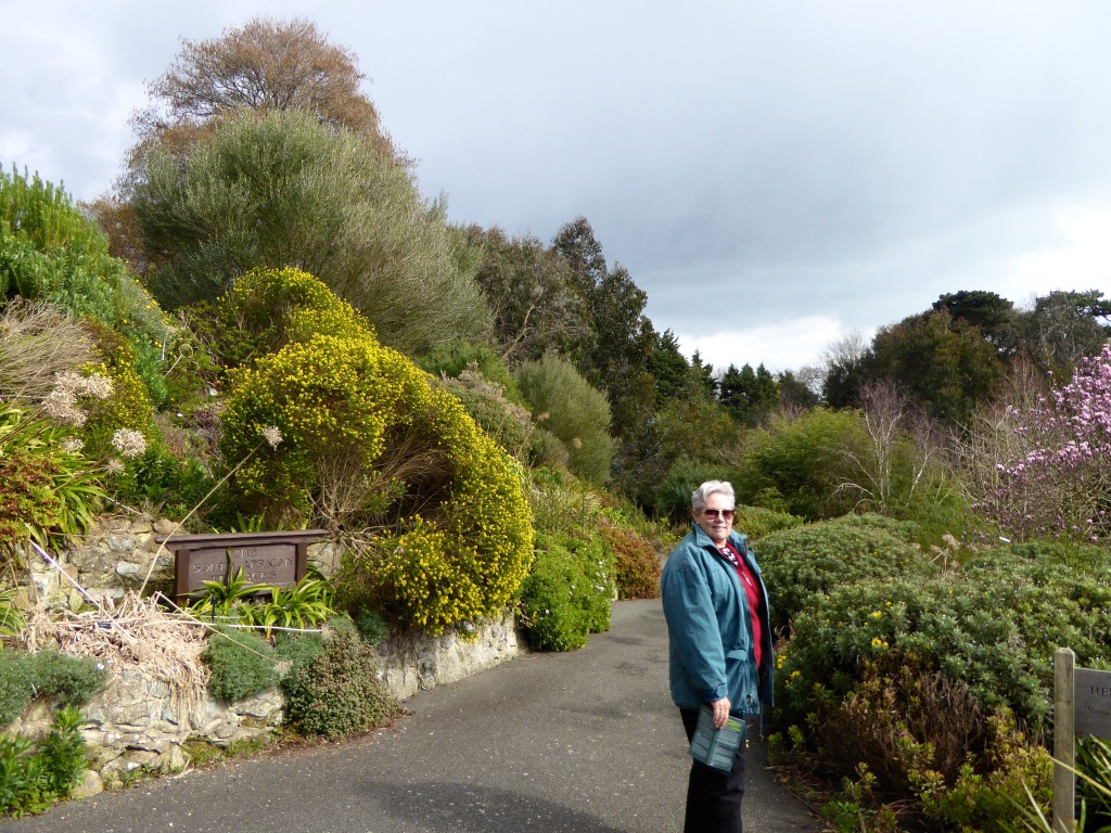 Lyndal in Gardens