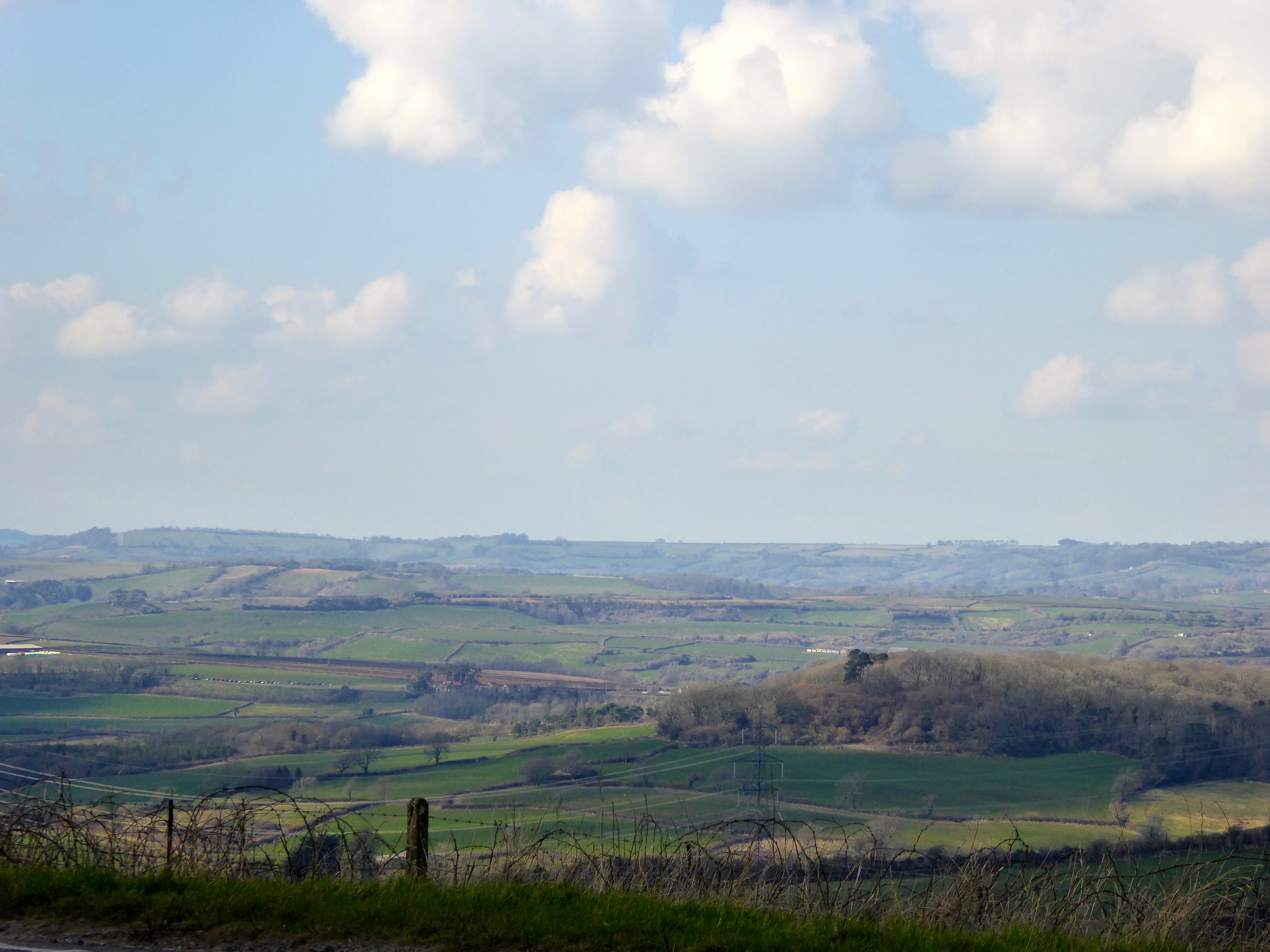 Devon countryside