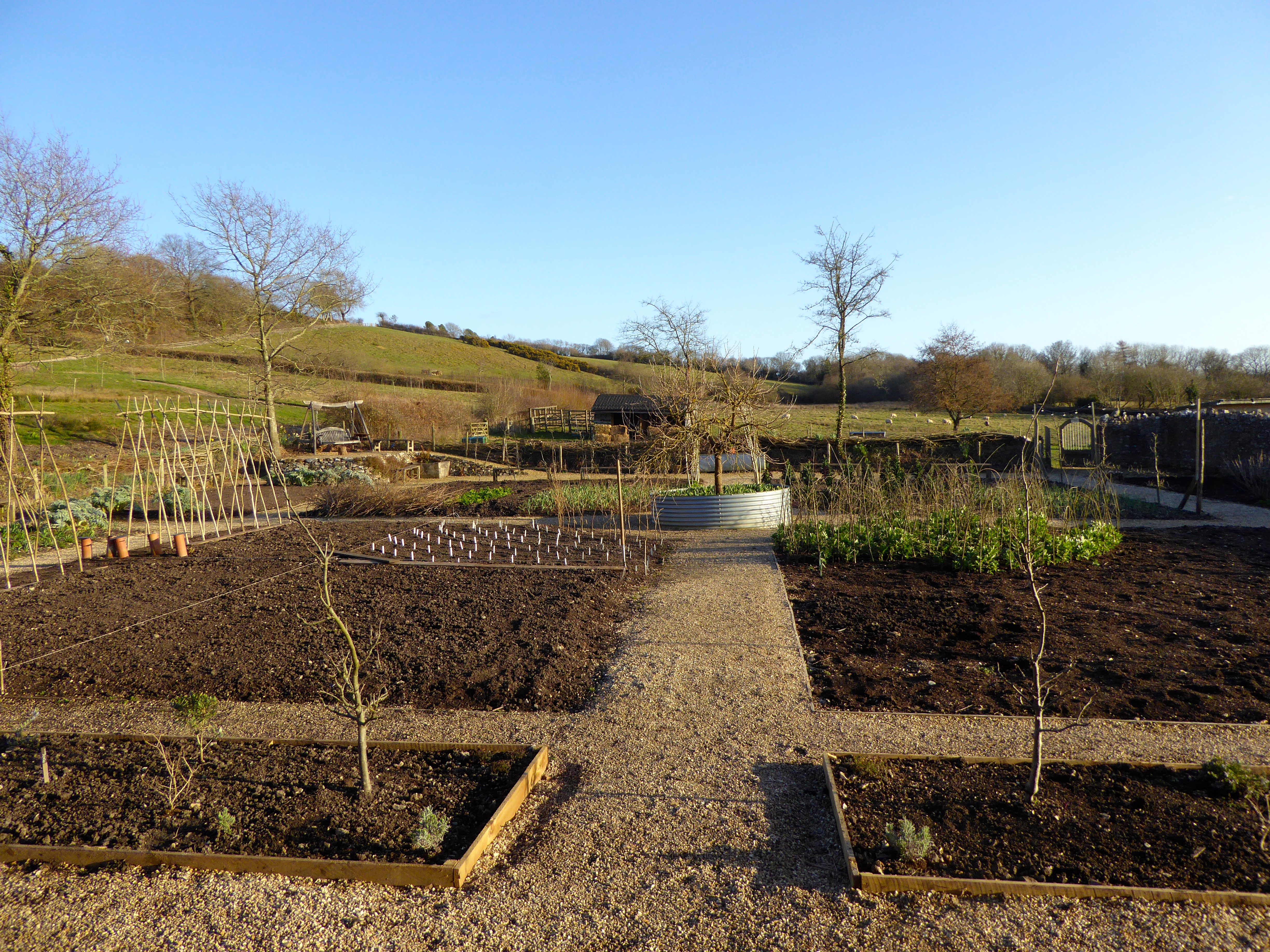 Verge garden at River Cottage