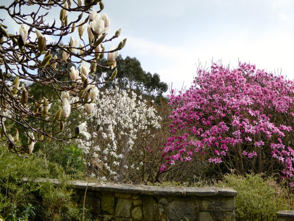 Ventnor Gardens