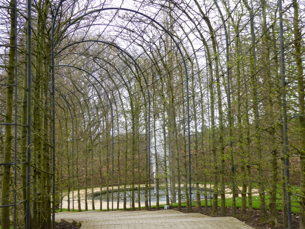 Hornbeam walkways