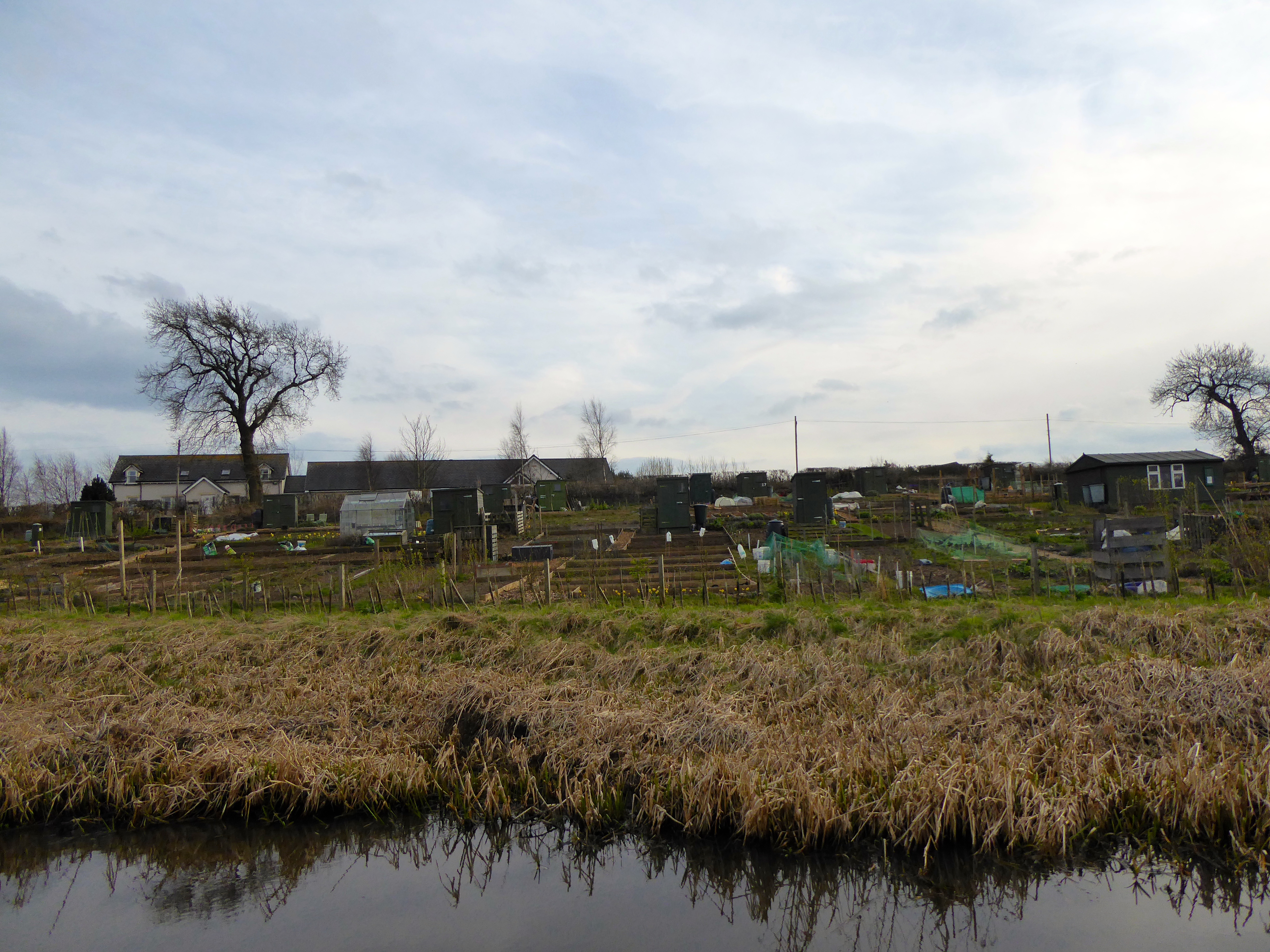 Community gardens along the bank