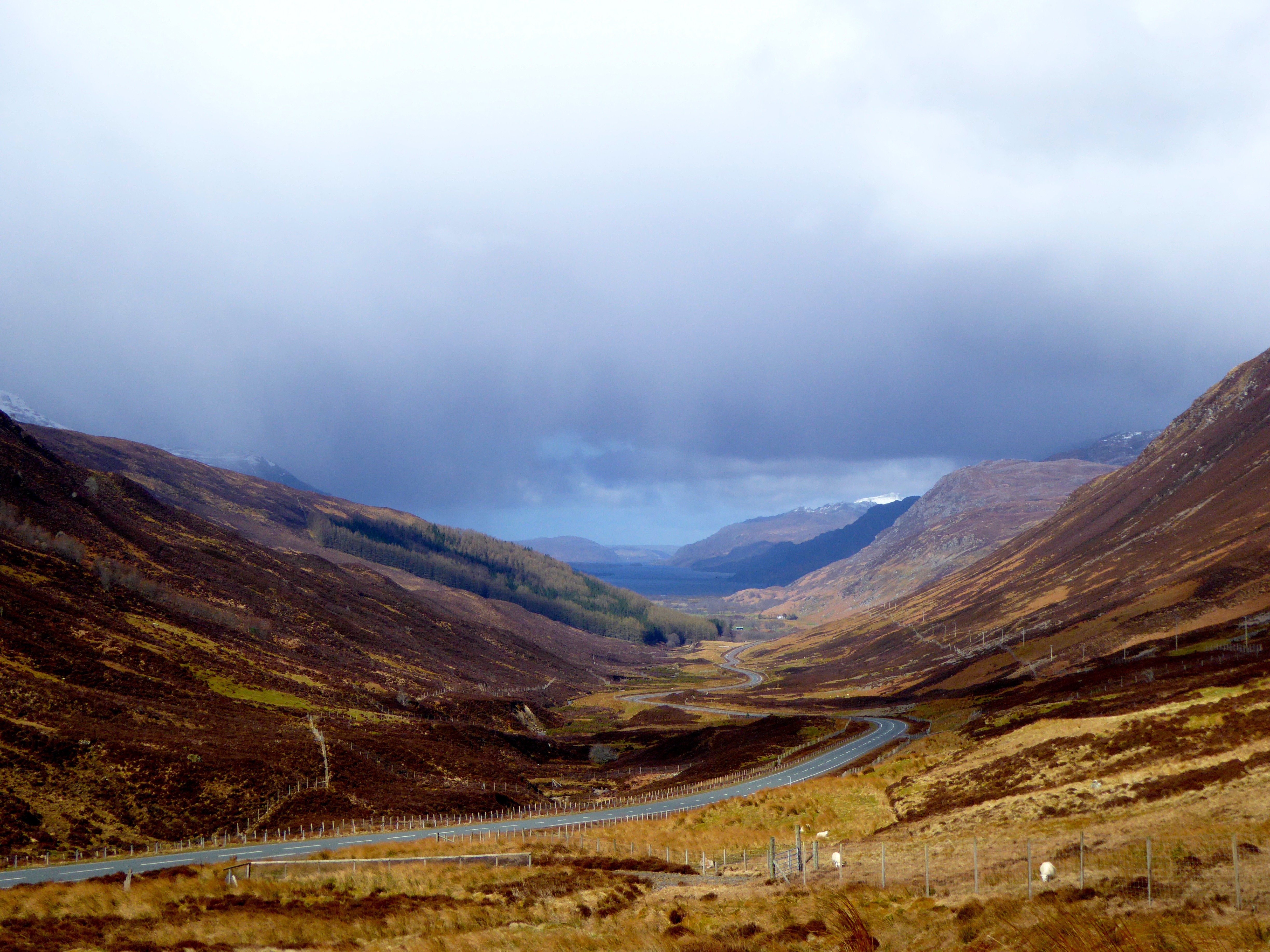 Loch Maree from Glen Doherty