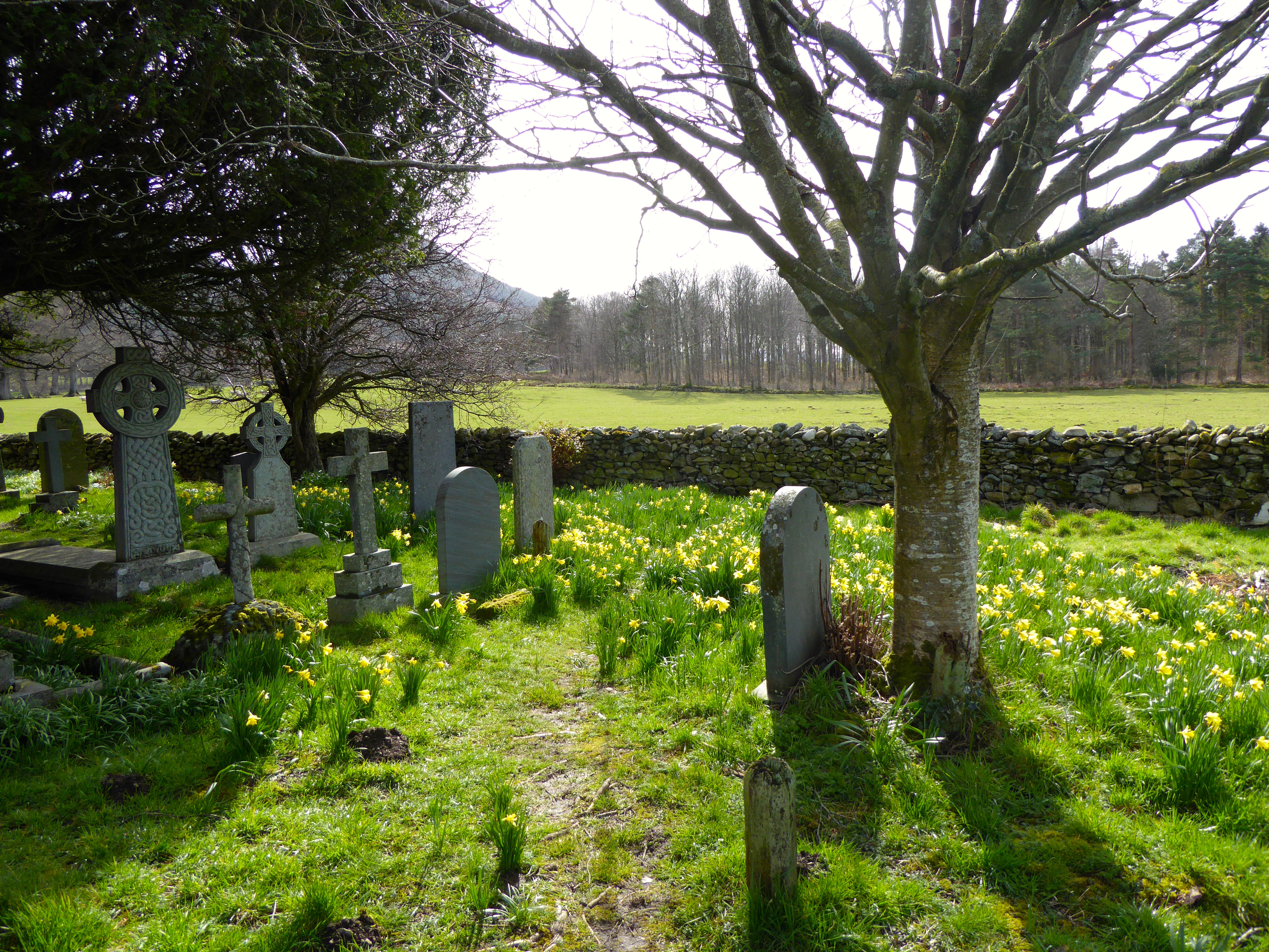 Churchyard at St Bega's