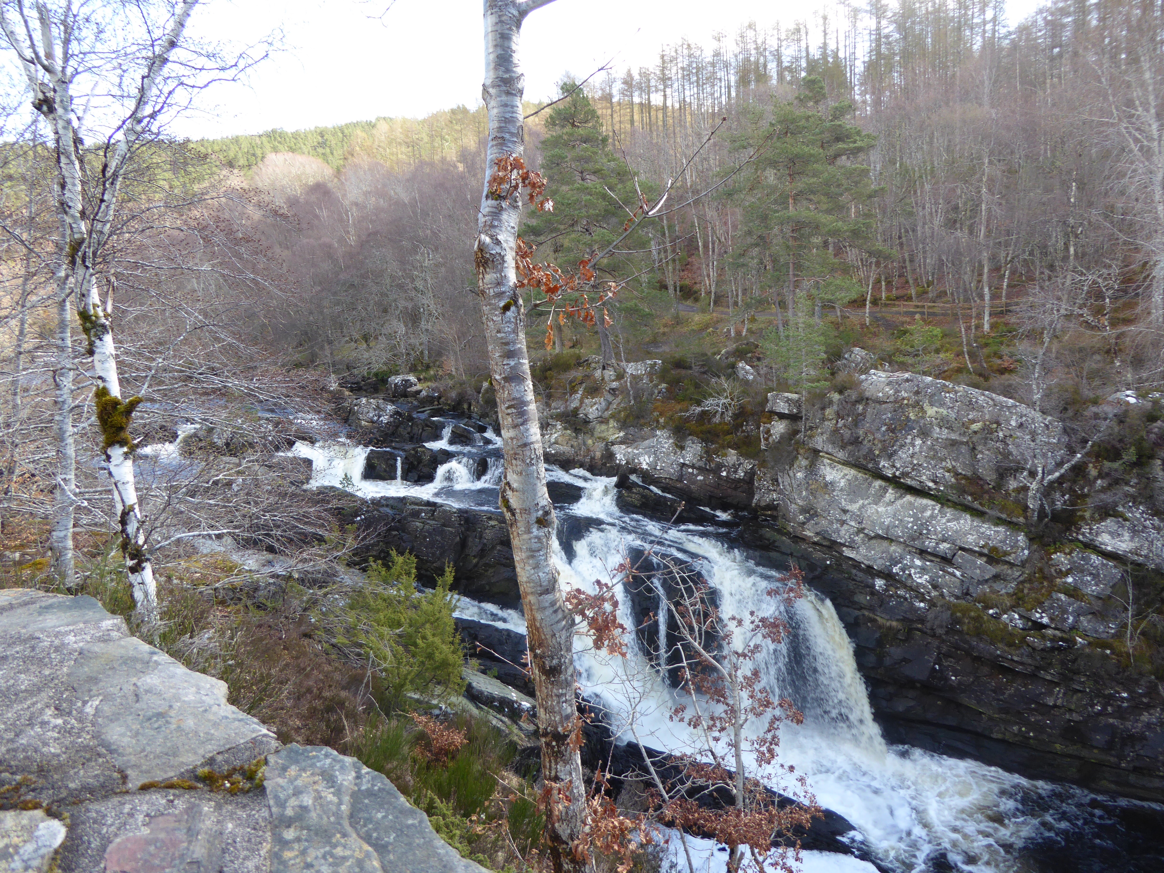 Rogie falls