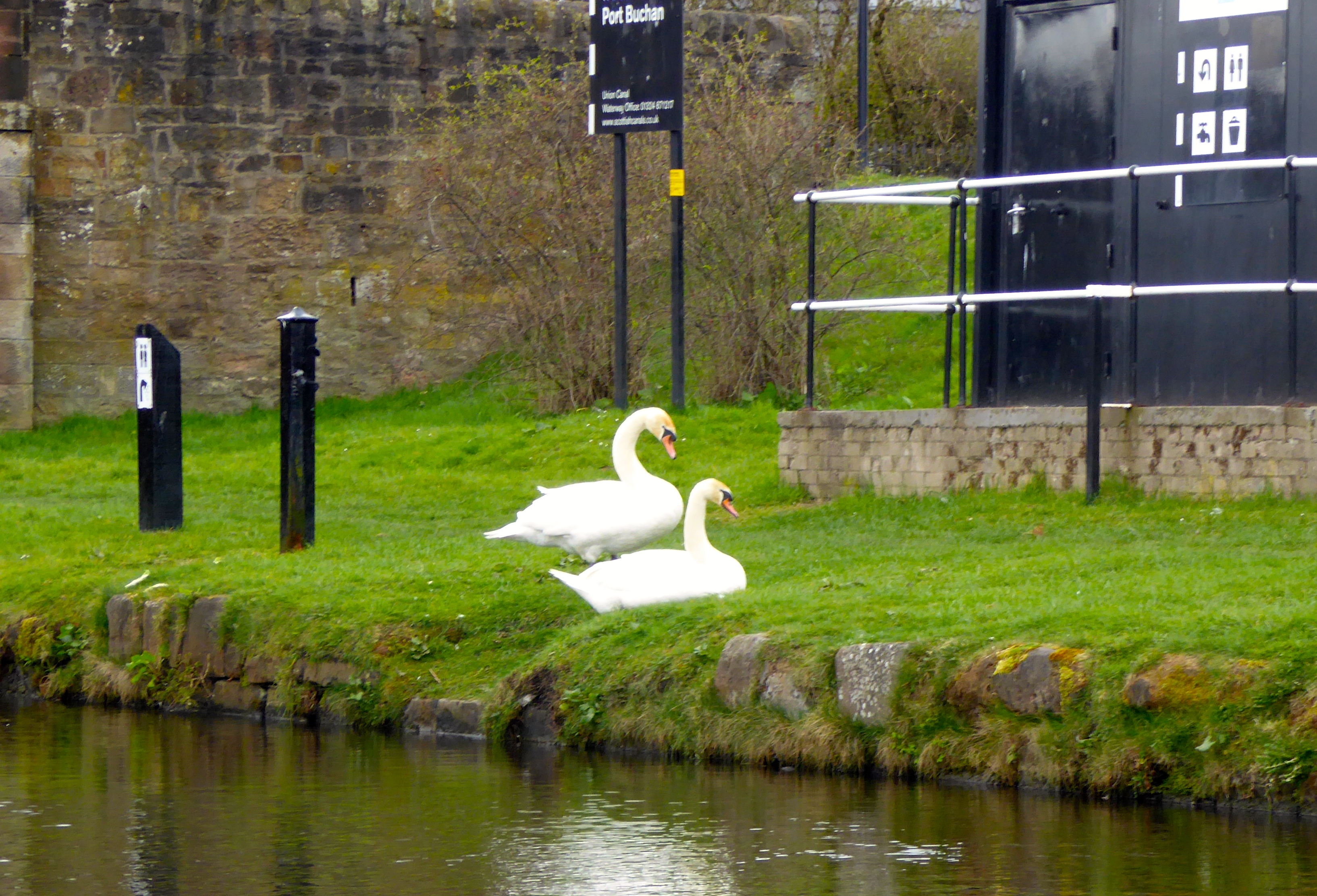 Resting on the bank