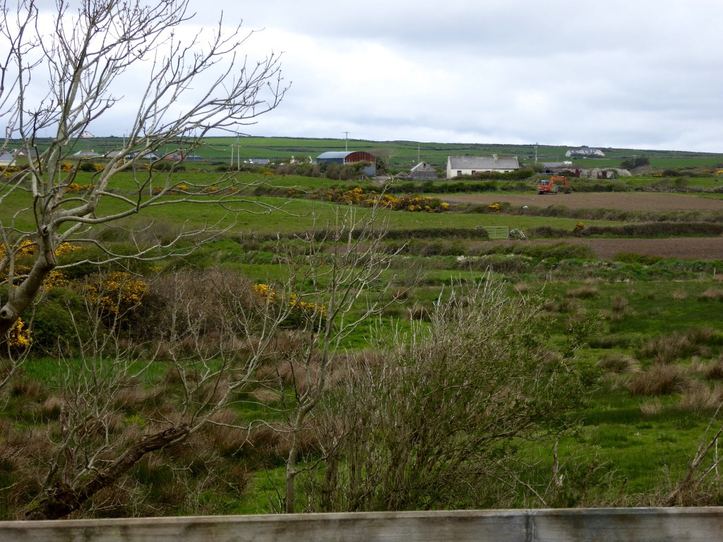 Farming land on the Kilrush/Kilkee road to within half a mile of his farm