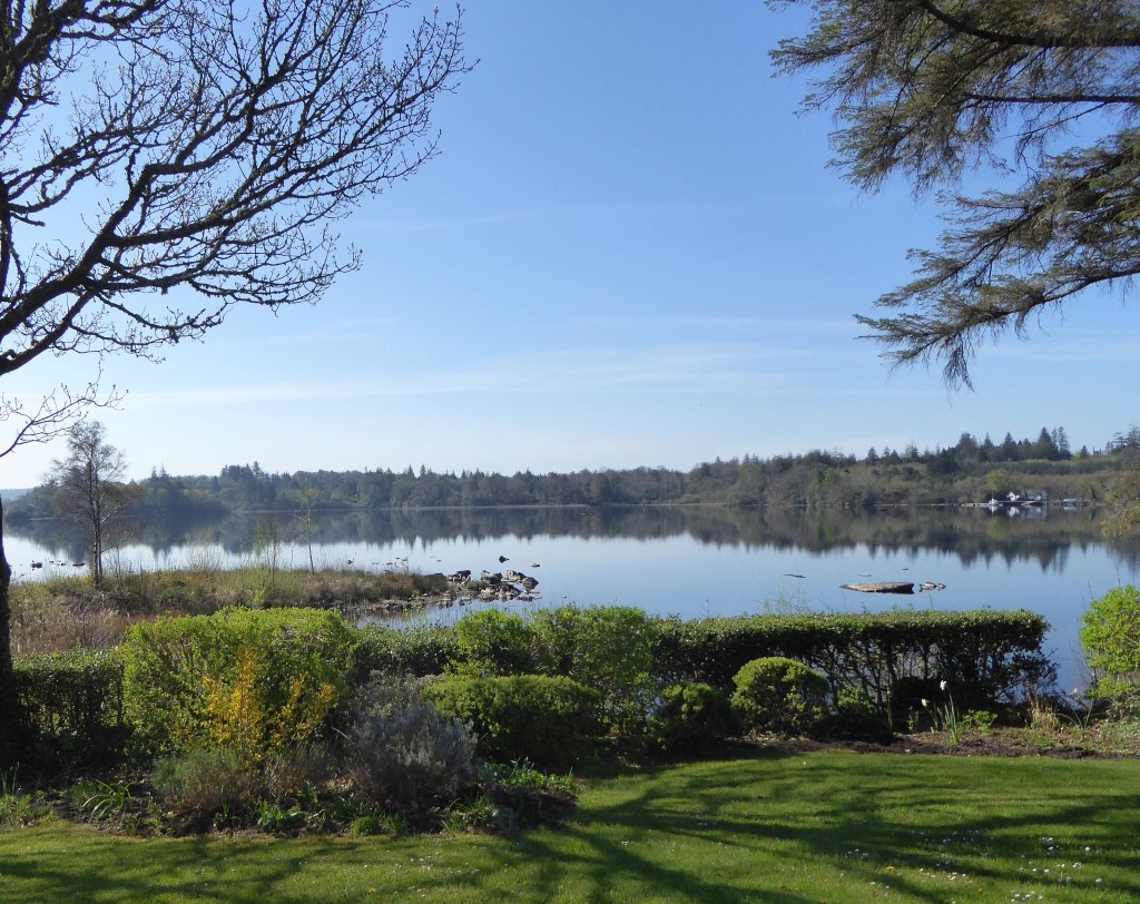 View over still lake