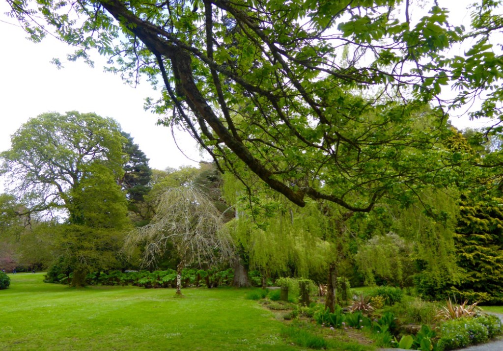 Stream garden