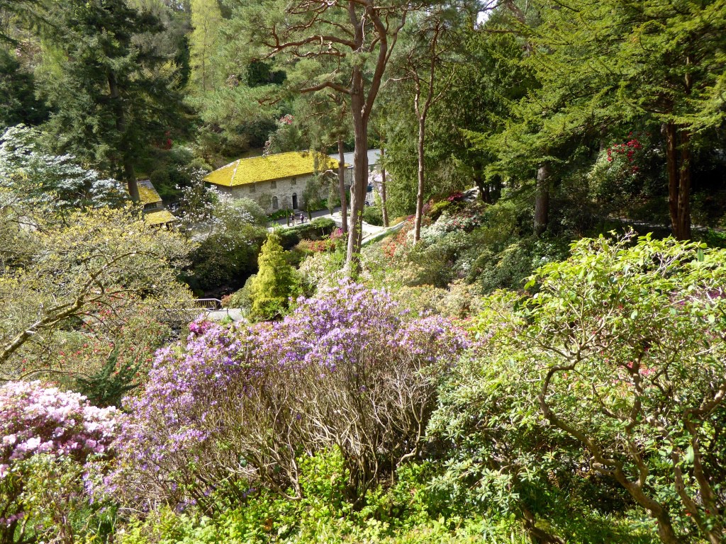 Looking down into the Dell