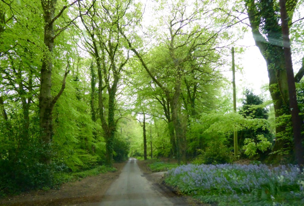 Down the leafy lane to David and Rosemary's