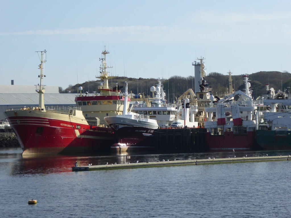 Part of the Atlantic fishing fleet