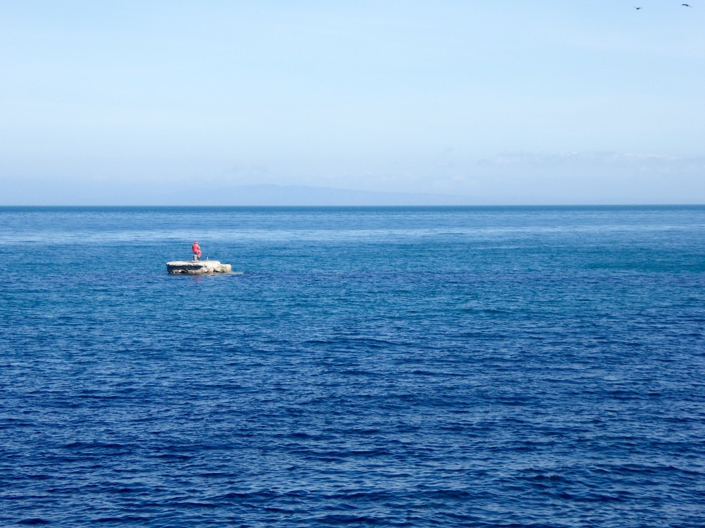 Fisherman on a rock?