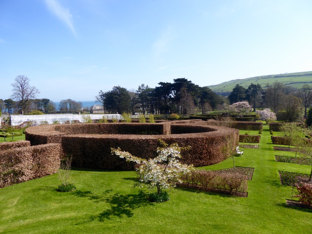 Wonderful clipped hedges