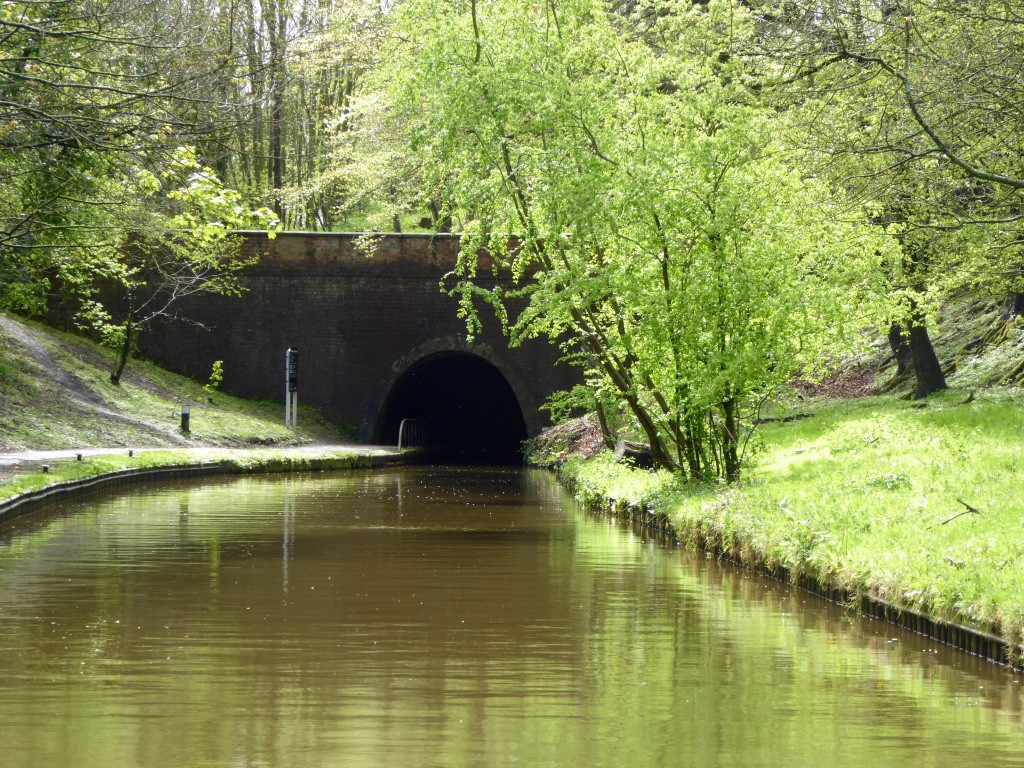 Toss in a tunnel or two