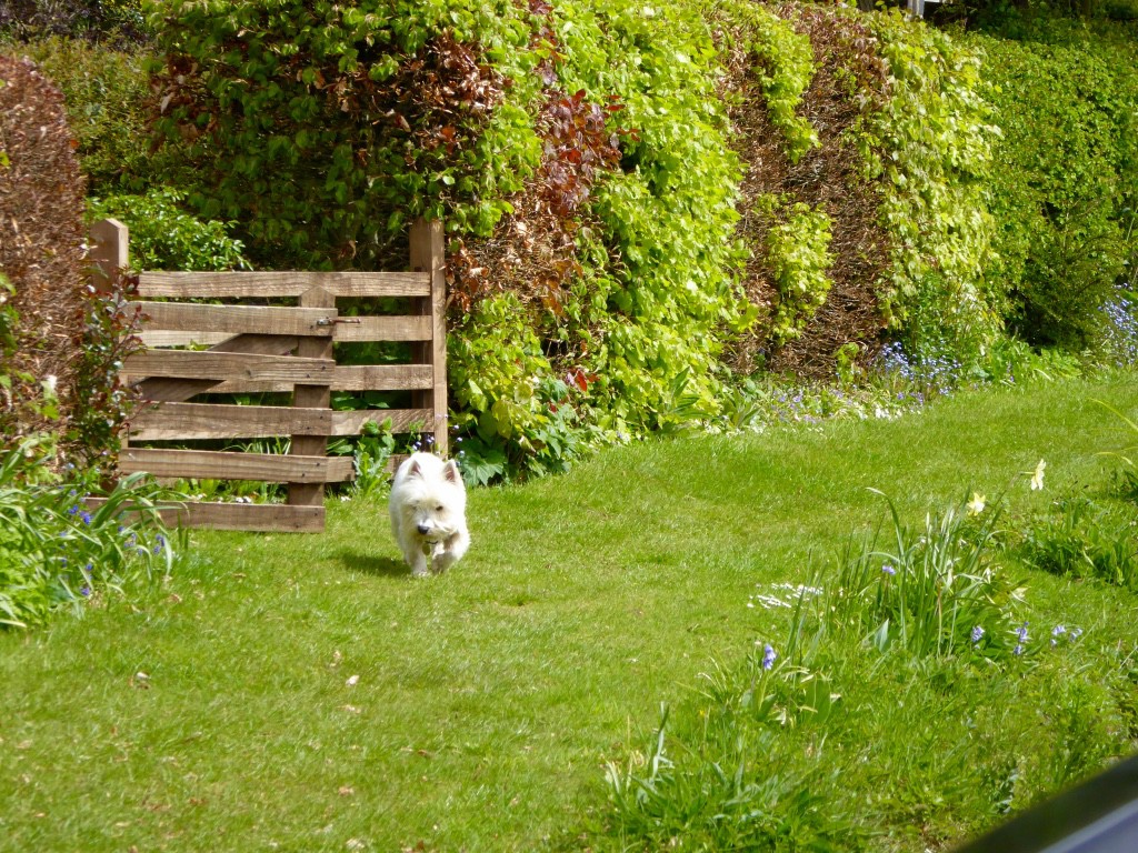 Defending his property from marauding canal boats