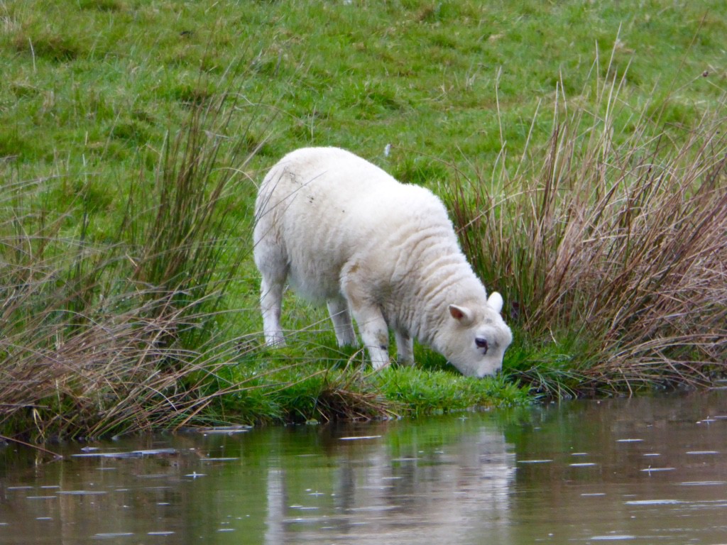 By the canal edge