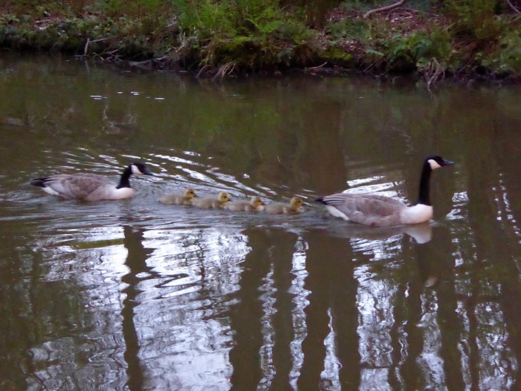 Mum and Dad keeping the youngsters in line