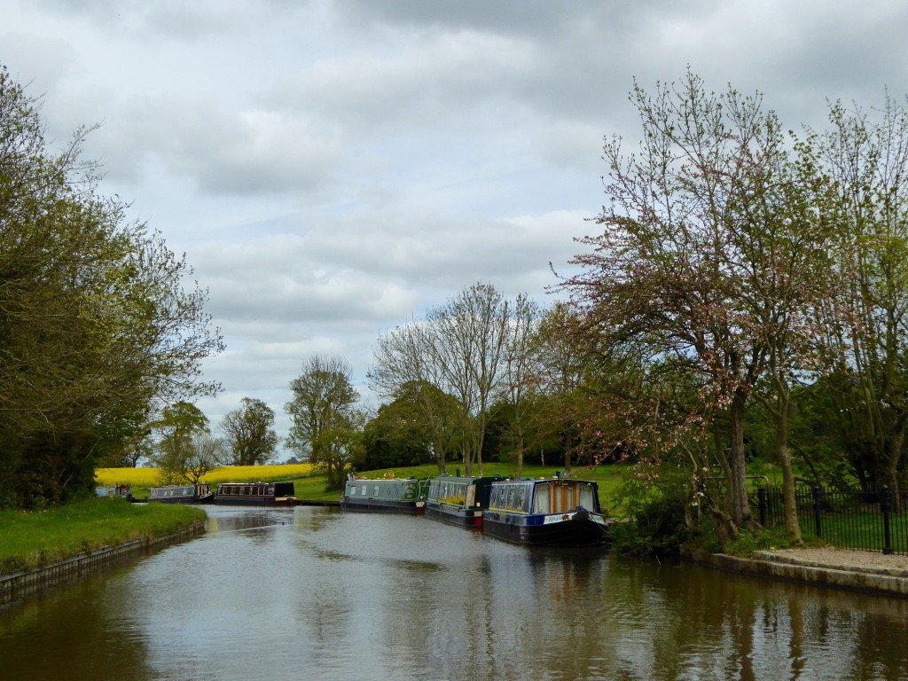 Permanent residents on the canal