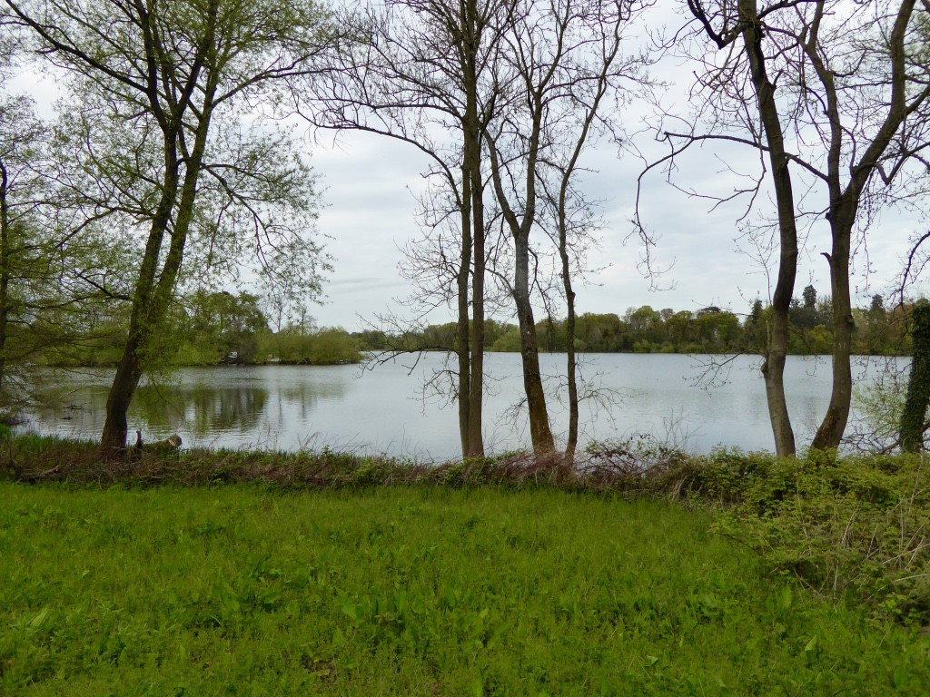 Lovely mooring at Blakes Mere