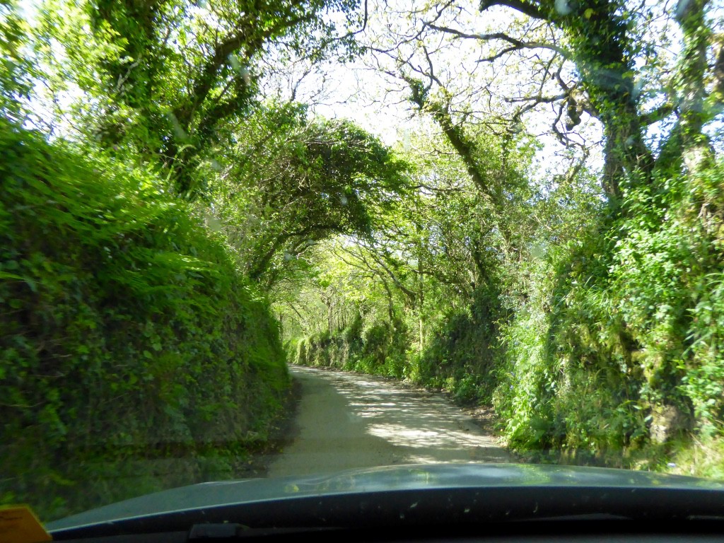 Narrow roads sunk so far below the surrounding countryside they are nearly tunnels