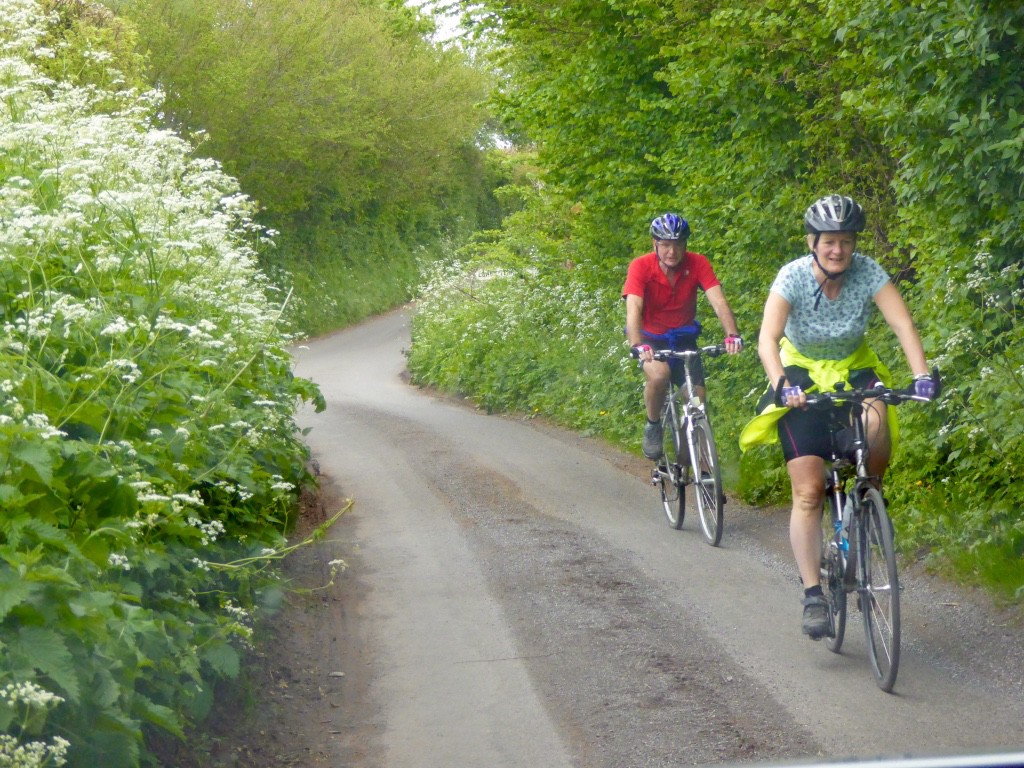 Meeting various people on the narrow b grade road