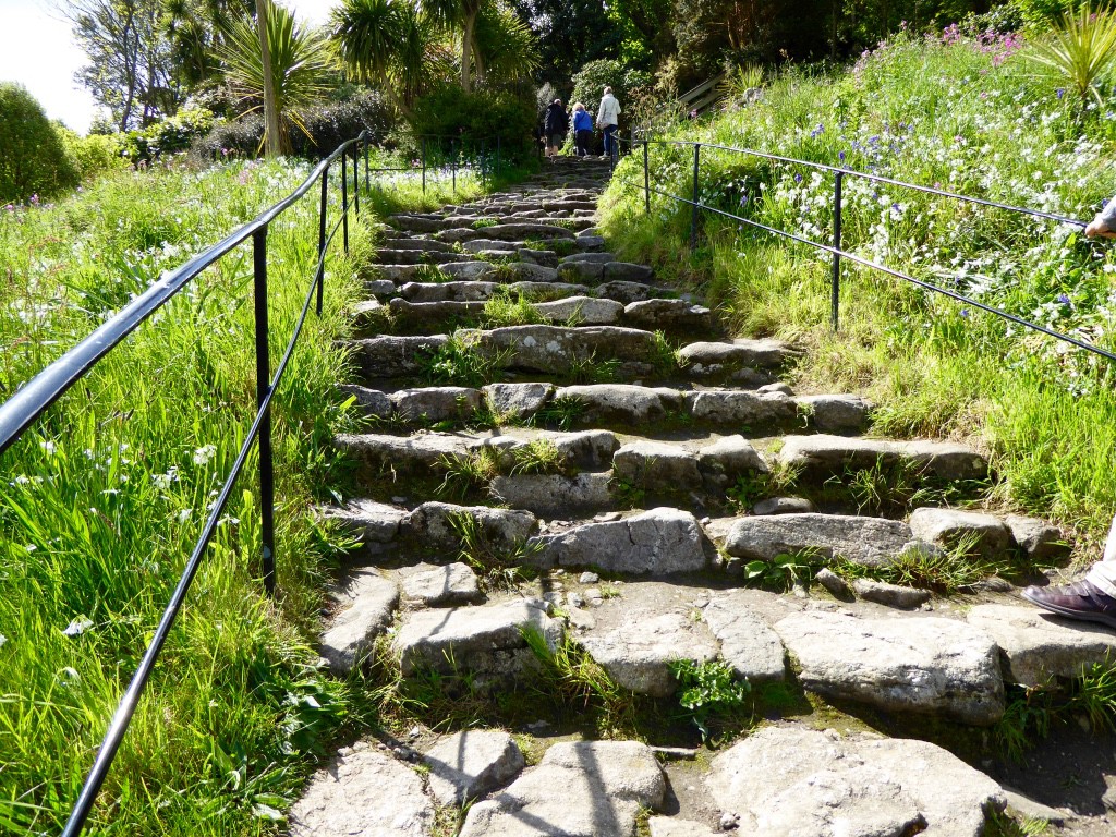 The Pilgrim Steps