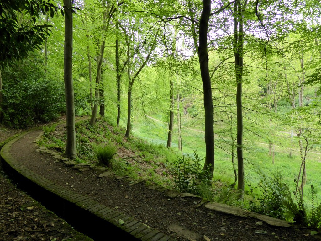 Looking down on the wild garden