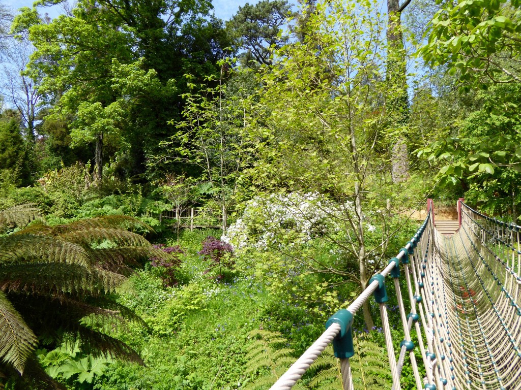 The garden from the rope bridge