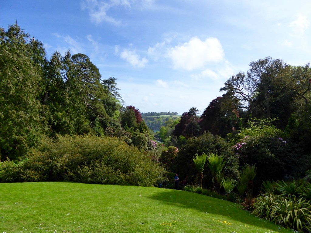 Looking down the now cleared valley