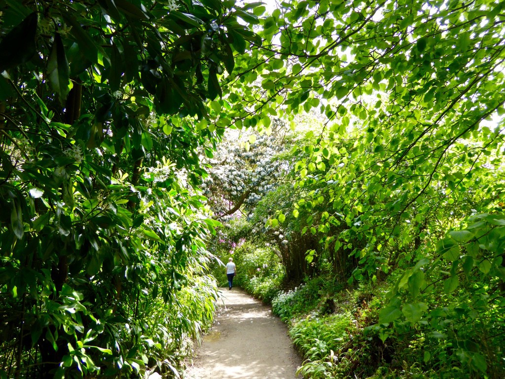 One of the more level pathways.  This garden is not for the faint hearted