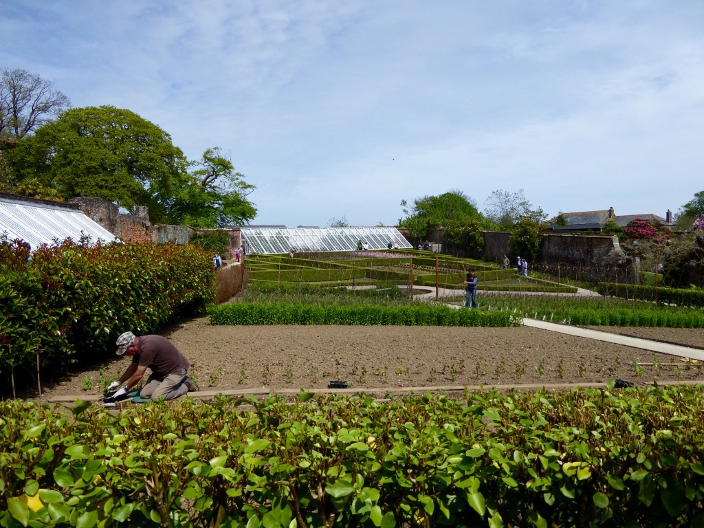 The flower garden being prepared for summer