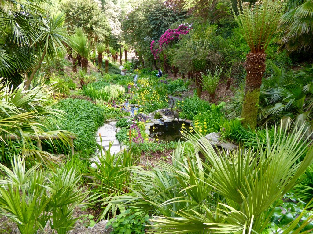 The water garden