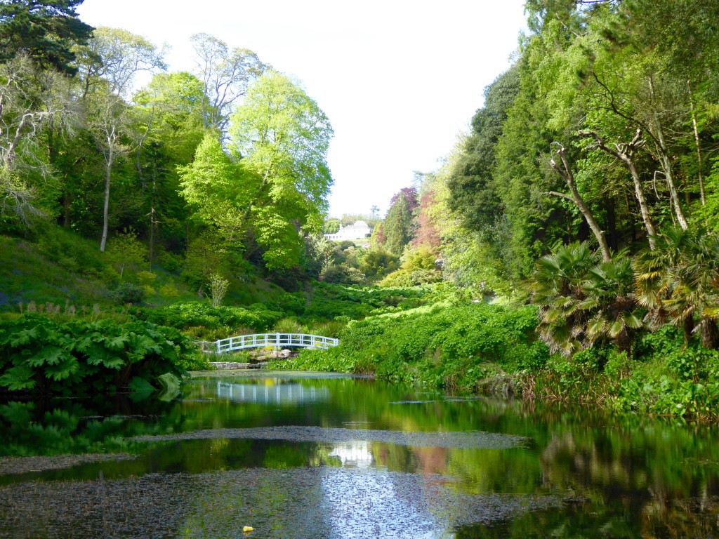 Looking back over the mallard pond to the valley of hydrangeas