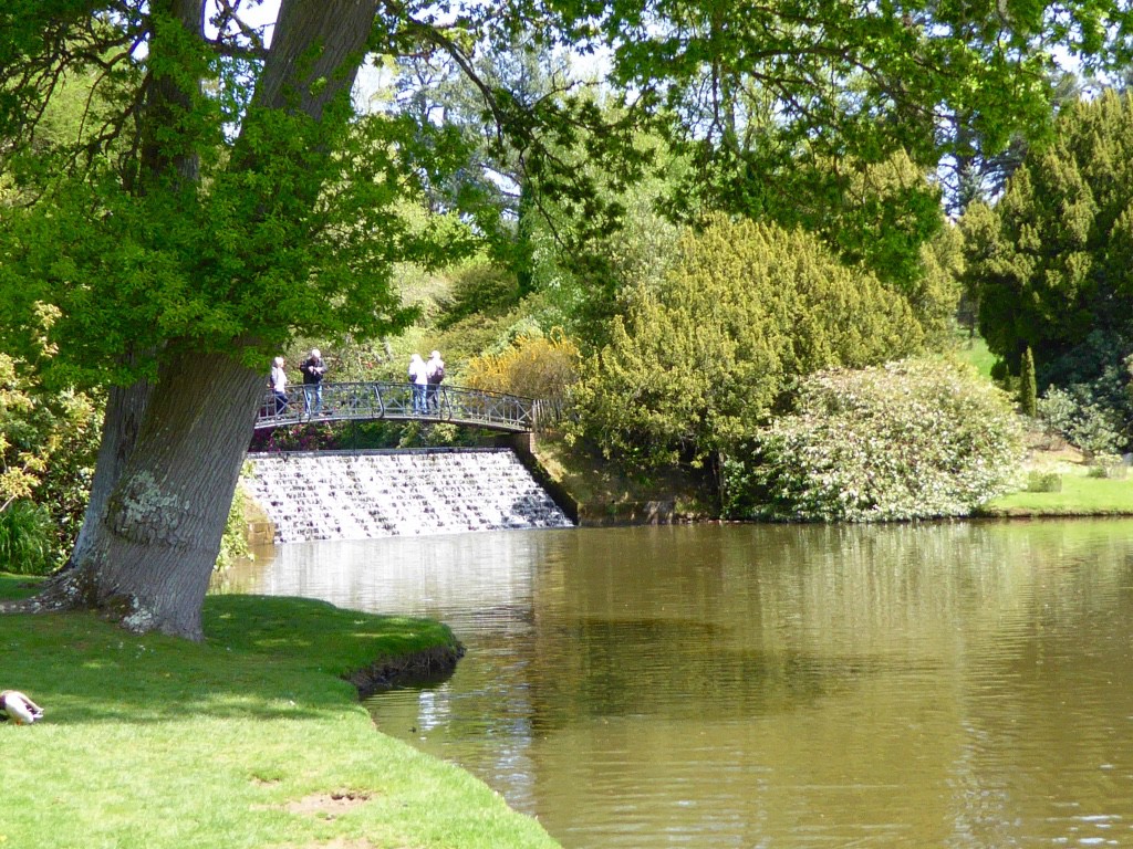 The decorative weir 