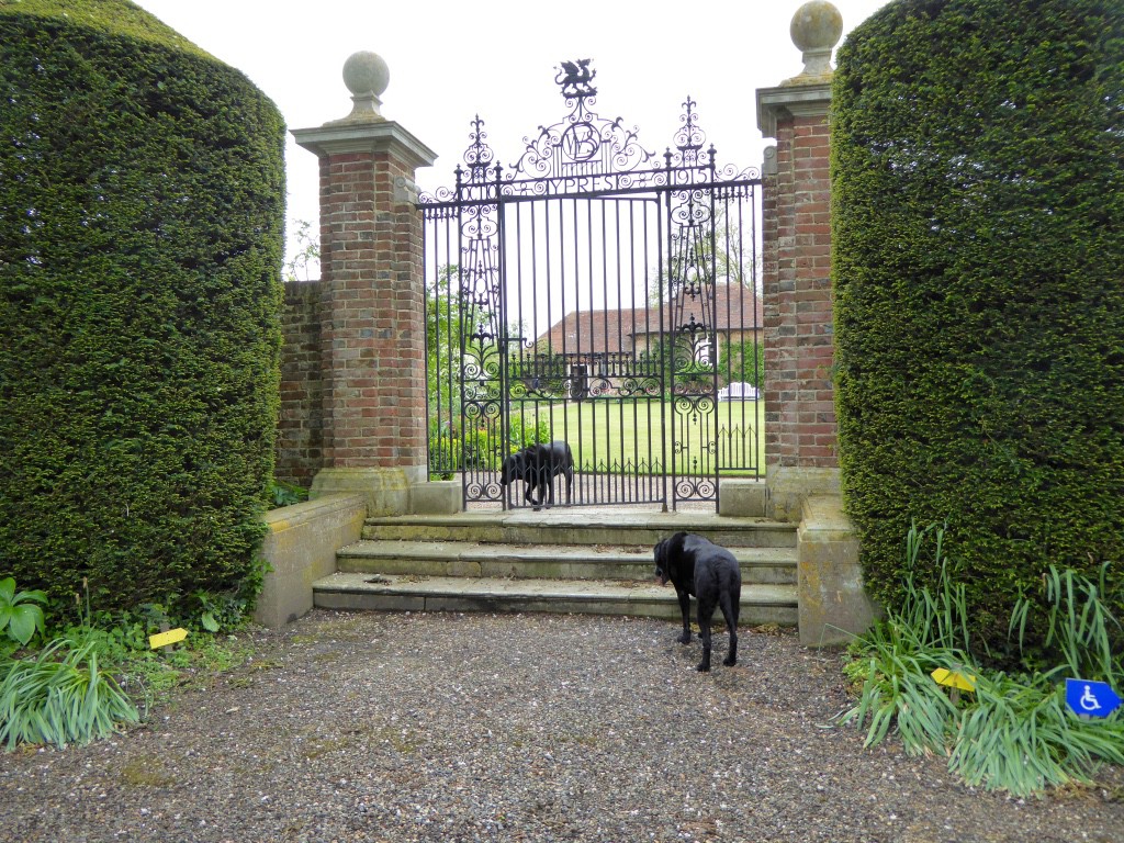 Black labs at the Memorial Gate