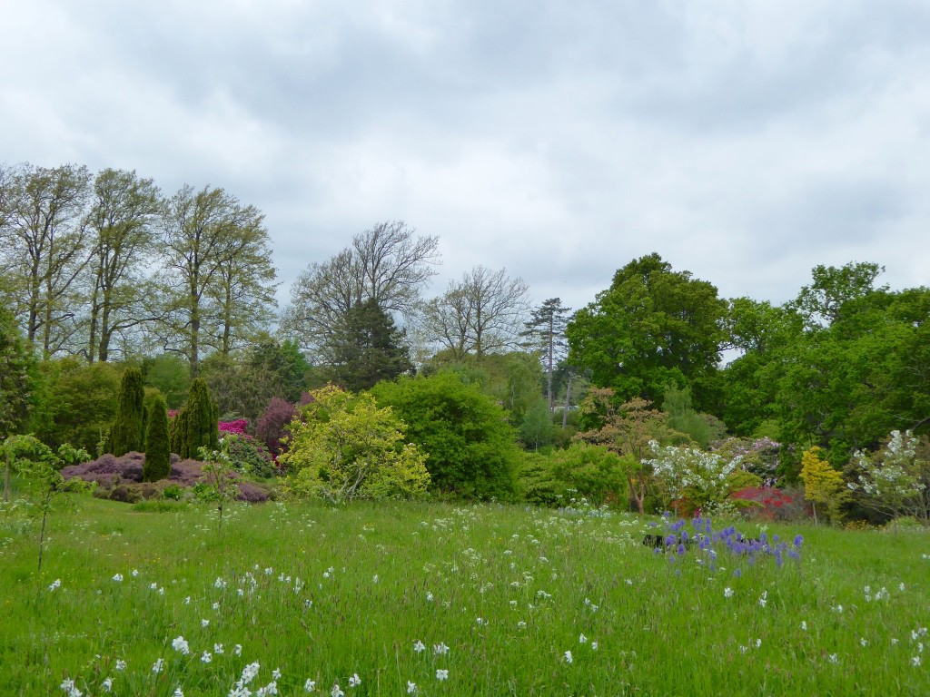 Wildflower meadow to valley garden and bluebell woods