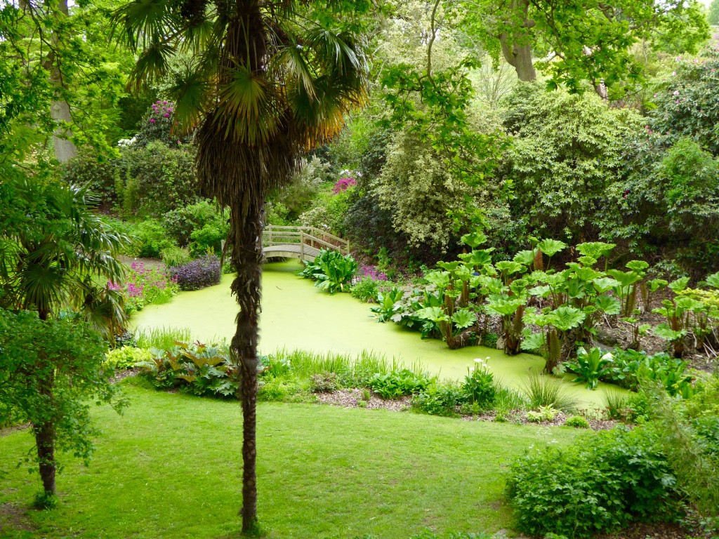 The bog garden