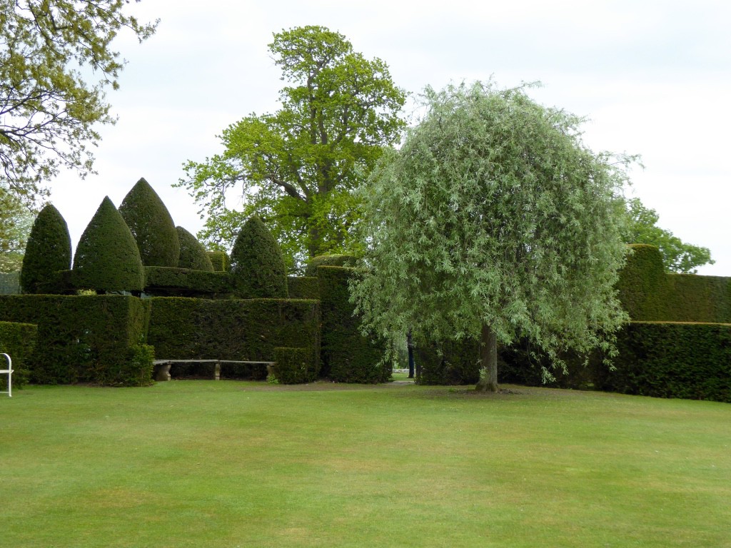 Miles of yew hedges