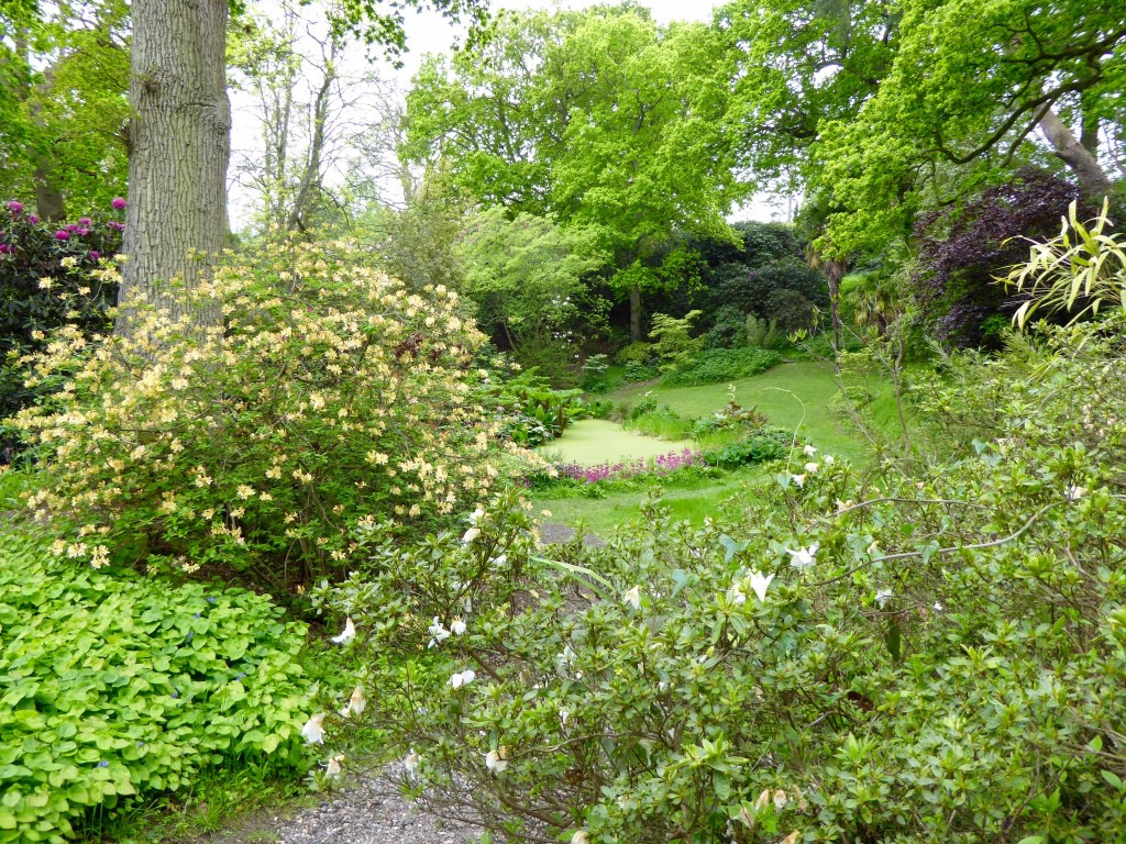 The valley gardens