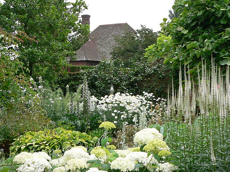 The white garden 