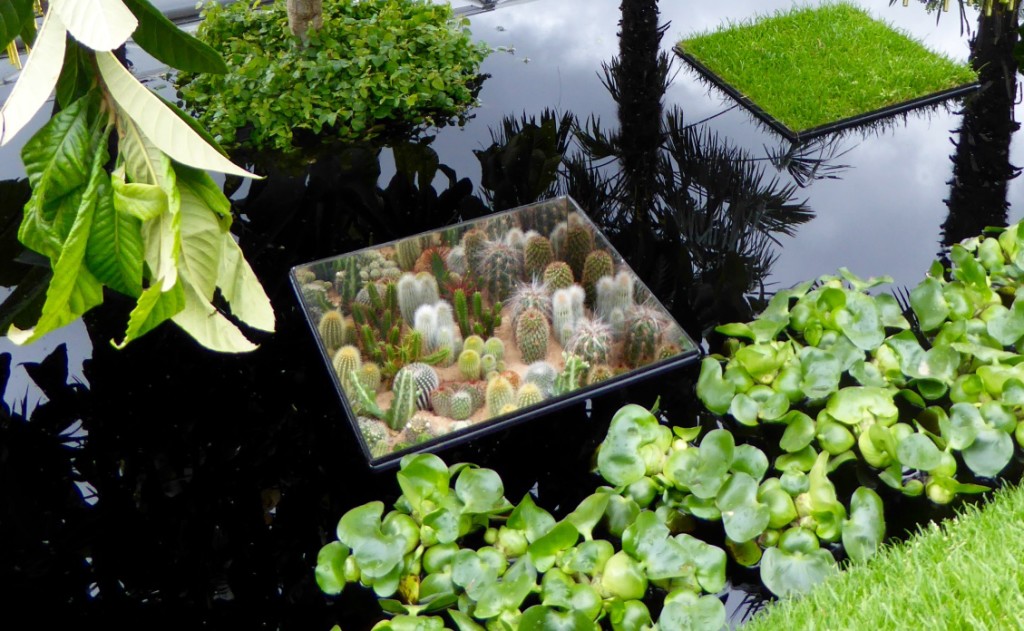 Mirror sided planter in the pool