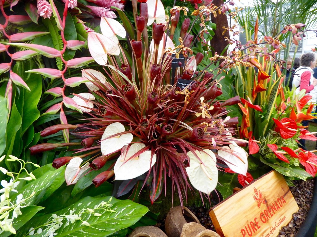 Displays from the Caribbean