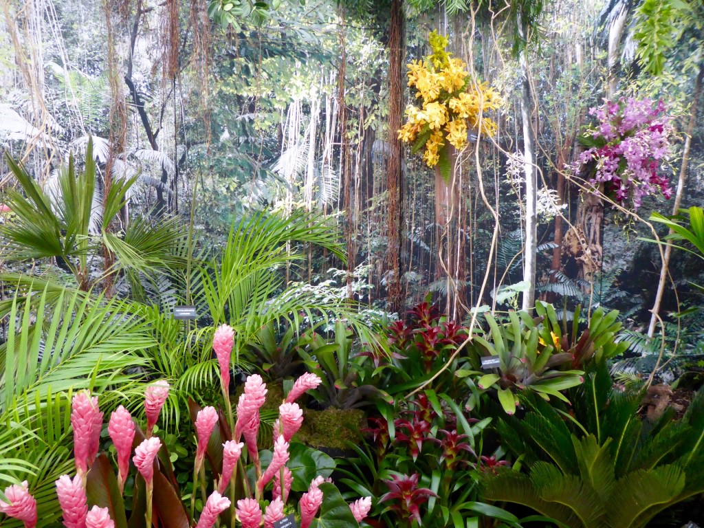 Orchids and Bromeliads well represented