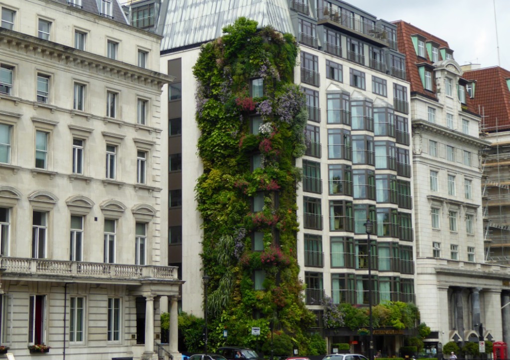 Vertical Garden