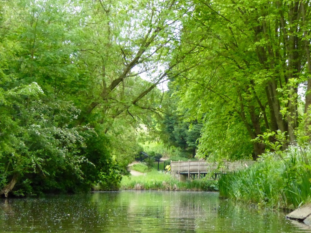 Quiet stretches of the canal