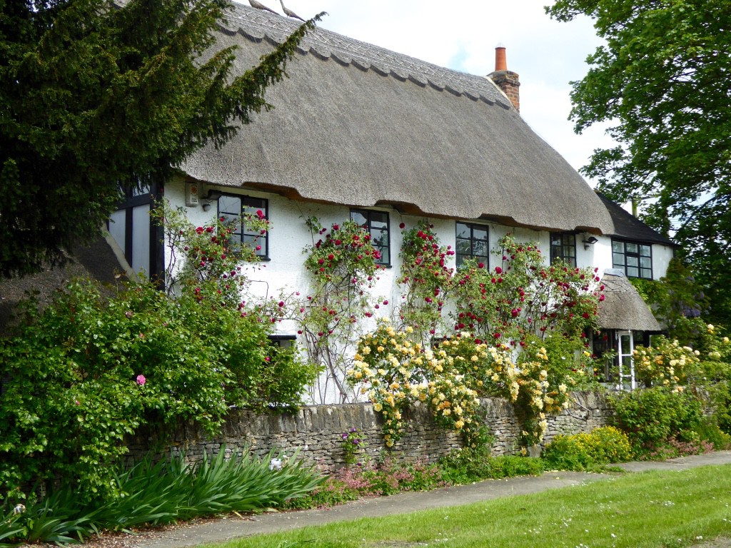 Country cottage with roses round the door