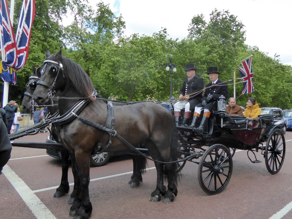 Seeing the sights in style!